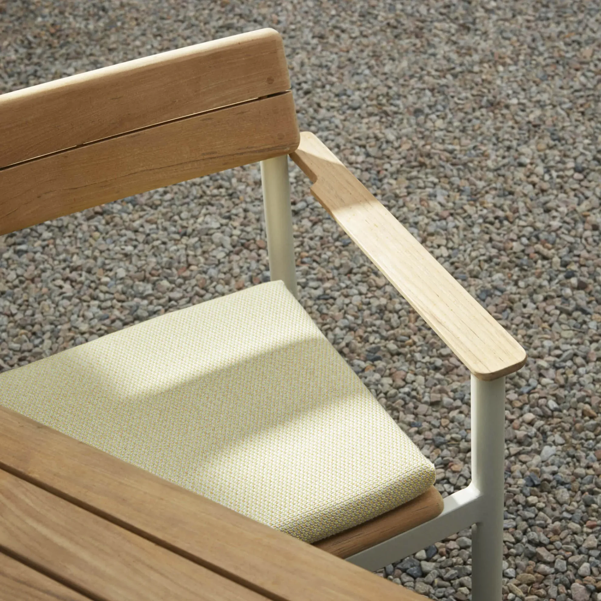 Pelagus sittepute - Bilde 2