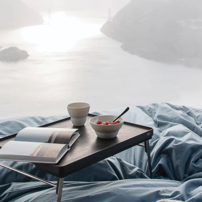 Alternative view of VIPP401 Minibord