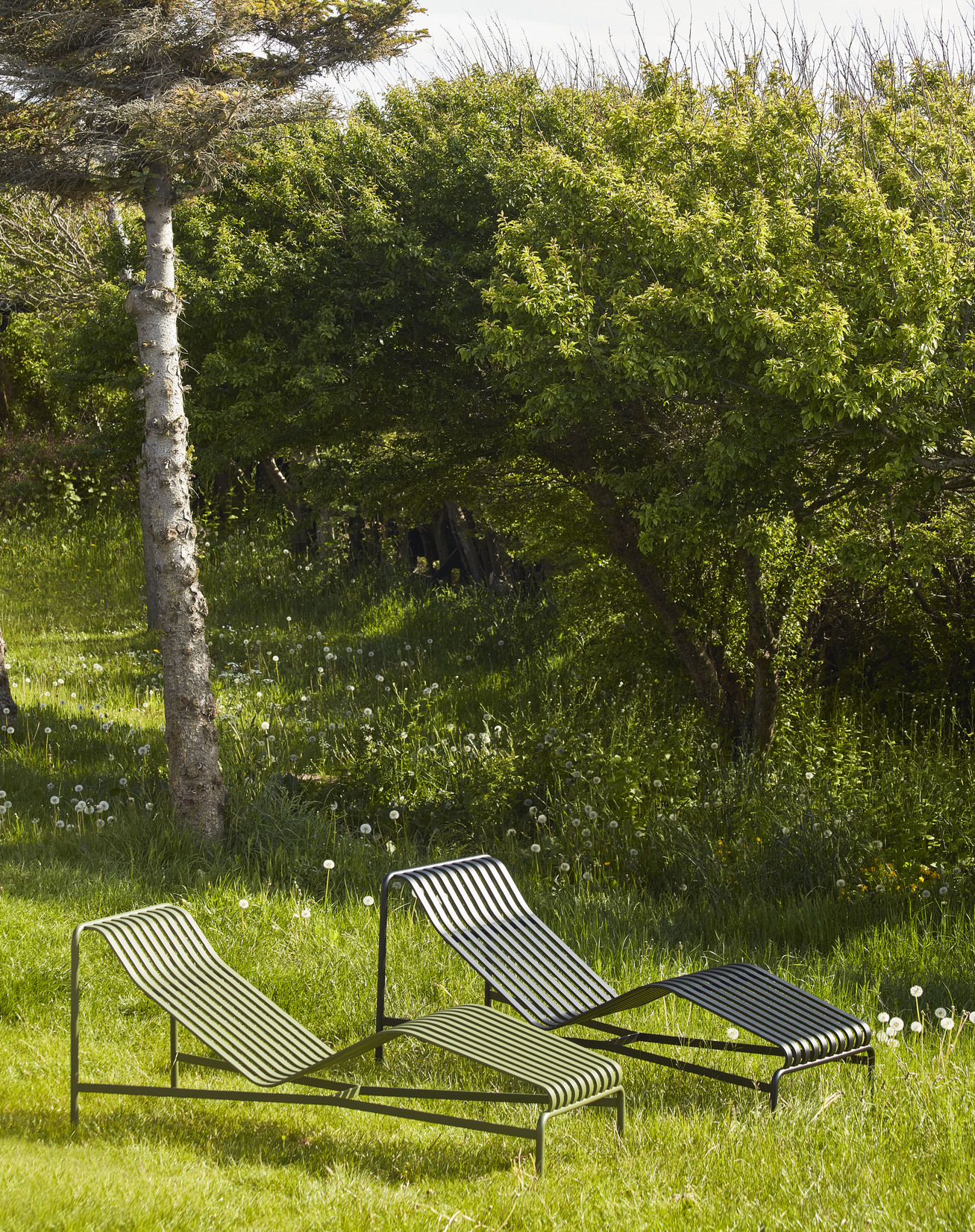 Palissade Chaise longue - Bilde 8