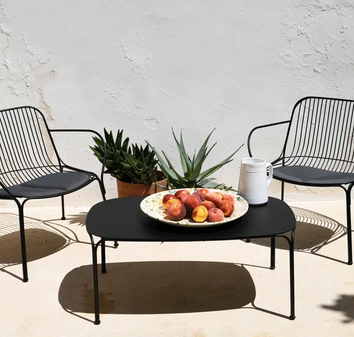 Alternative view of HIRAY armstol